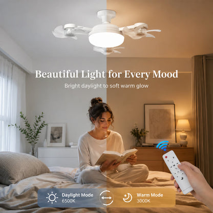 Fan with LED Light