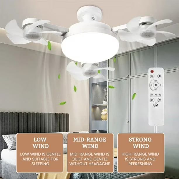Fan with LED Light