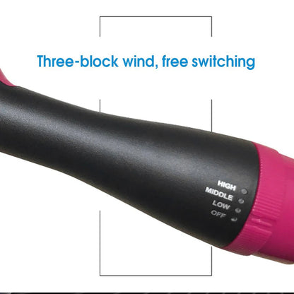 Hair Brush Dryer