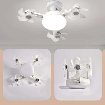 Fan with LED Light